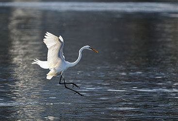 從30人到夫妻精品店， 我的亞馬遜經(jīng)歷了什么？